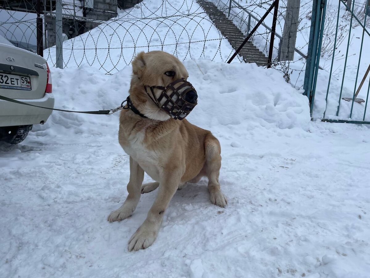 Многие по видео обратили внимание на его здоровье 