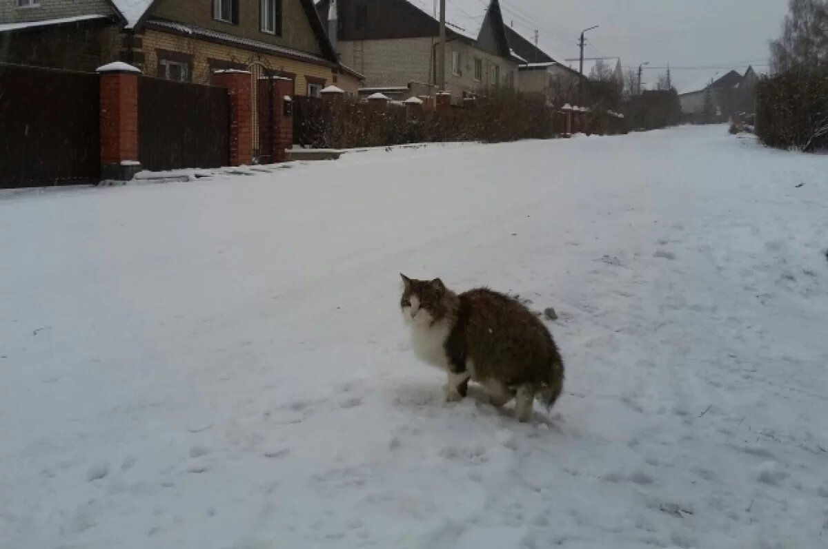    В Удмуртии этой зимой впервые ударили морозы ниже -20°С