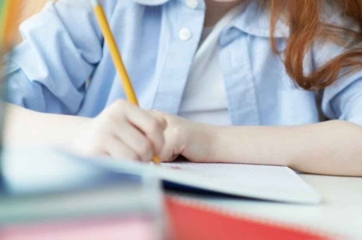    Программу адаптации детей переселенцев разработают в Нижегородской области