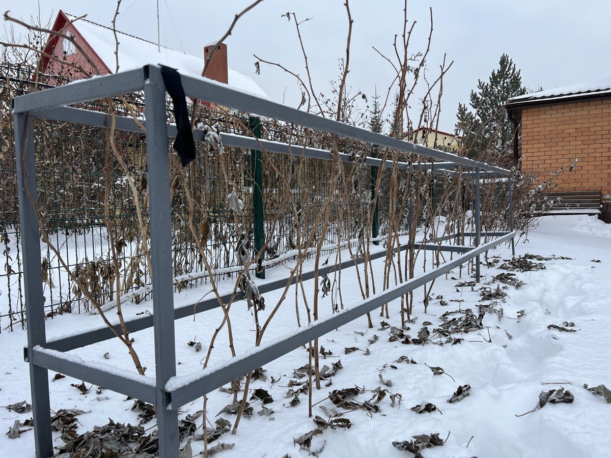 Фото автора канала Дом с кипарисамиПоказываю зимний пейзаж, просто потому, что так виднее. 