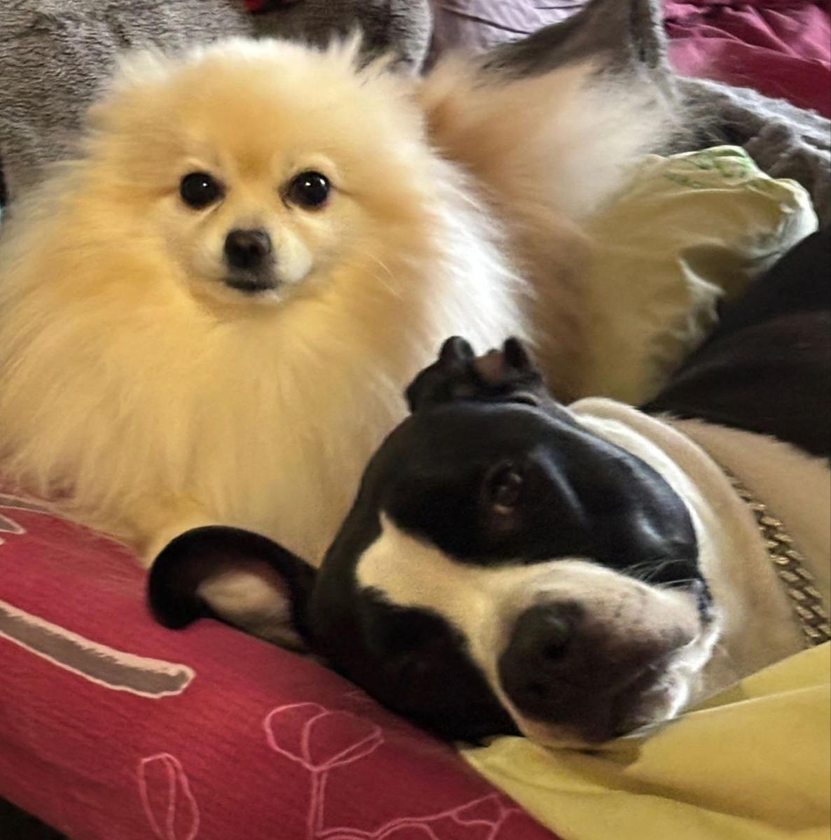 Жизнь полна тепла и заботы!