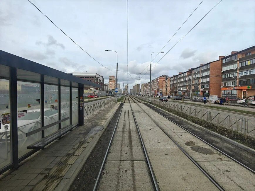    Фото: Юрий Серебренников/BFM Кубань