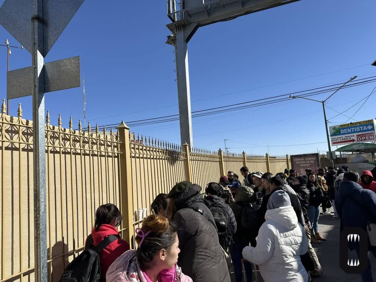 Фото из чата