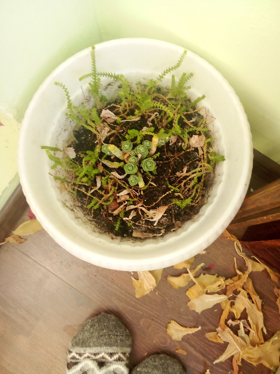 В статье все фото авторские