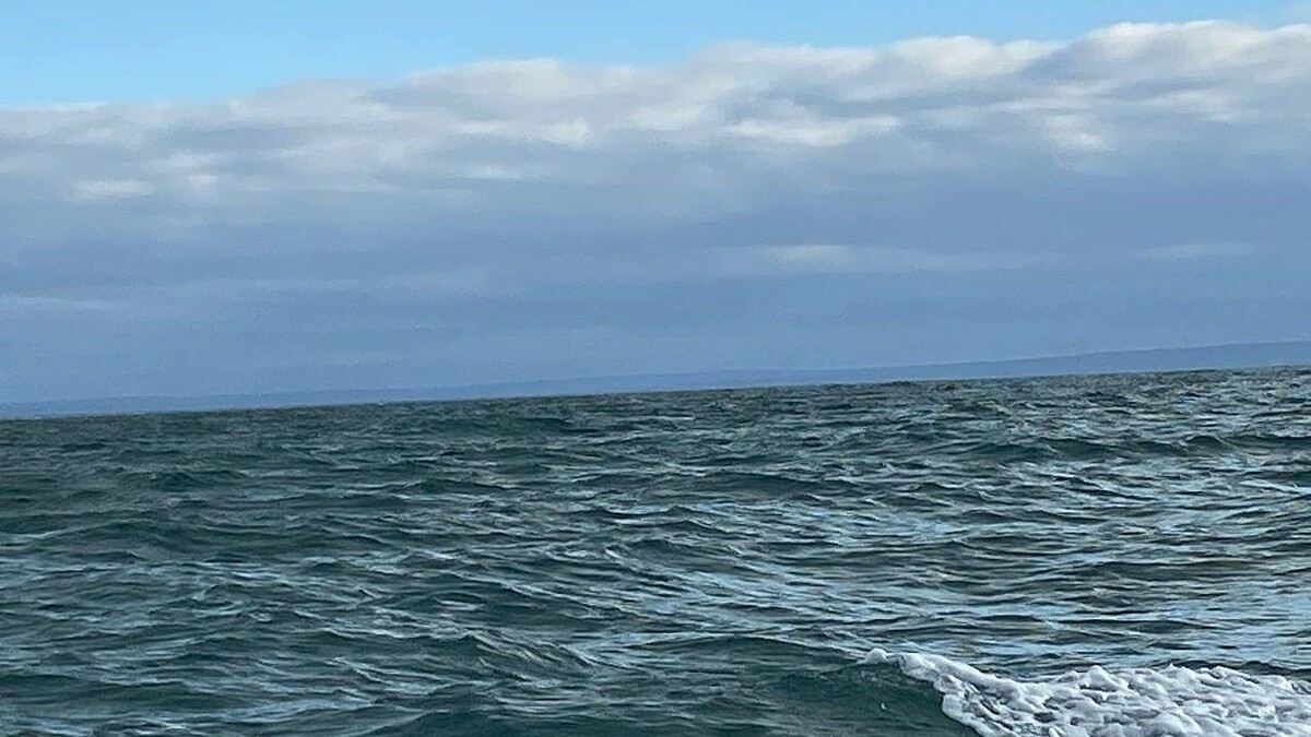    Фото: телеканал «Краснодар»