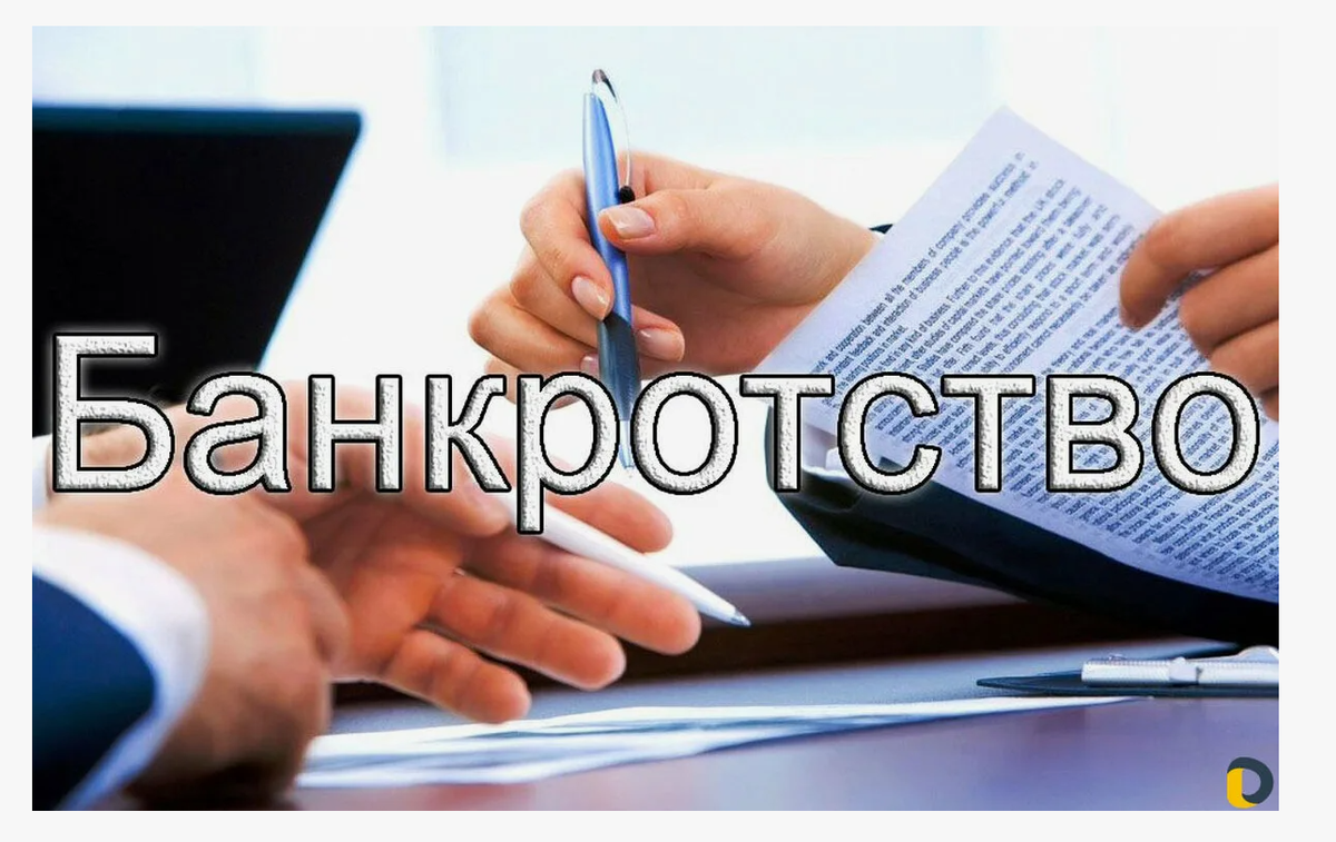 фото из открытого источника