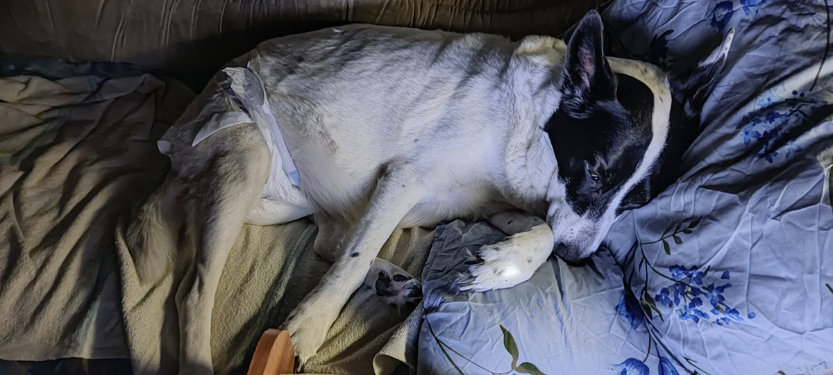 Лежит, грустинка, после процедур)