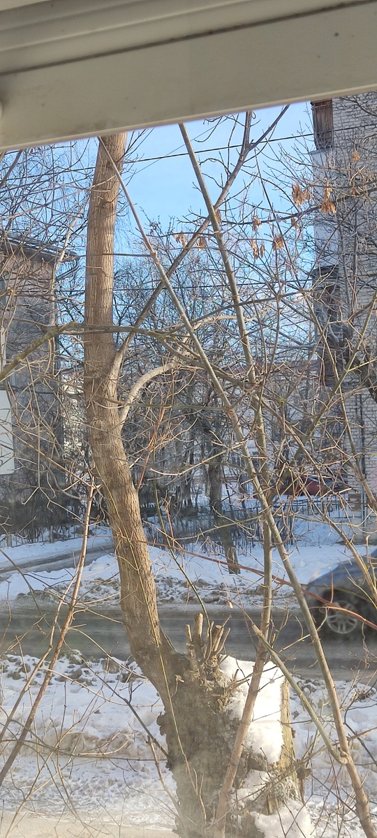 Фото из окна