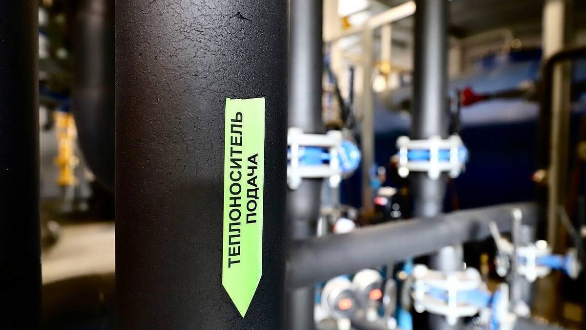    Фото: пресс-служба администрации Краснодарского края