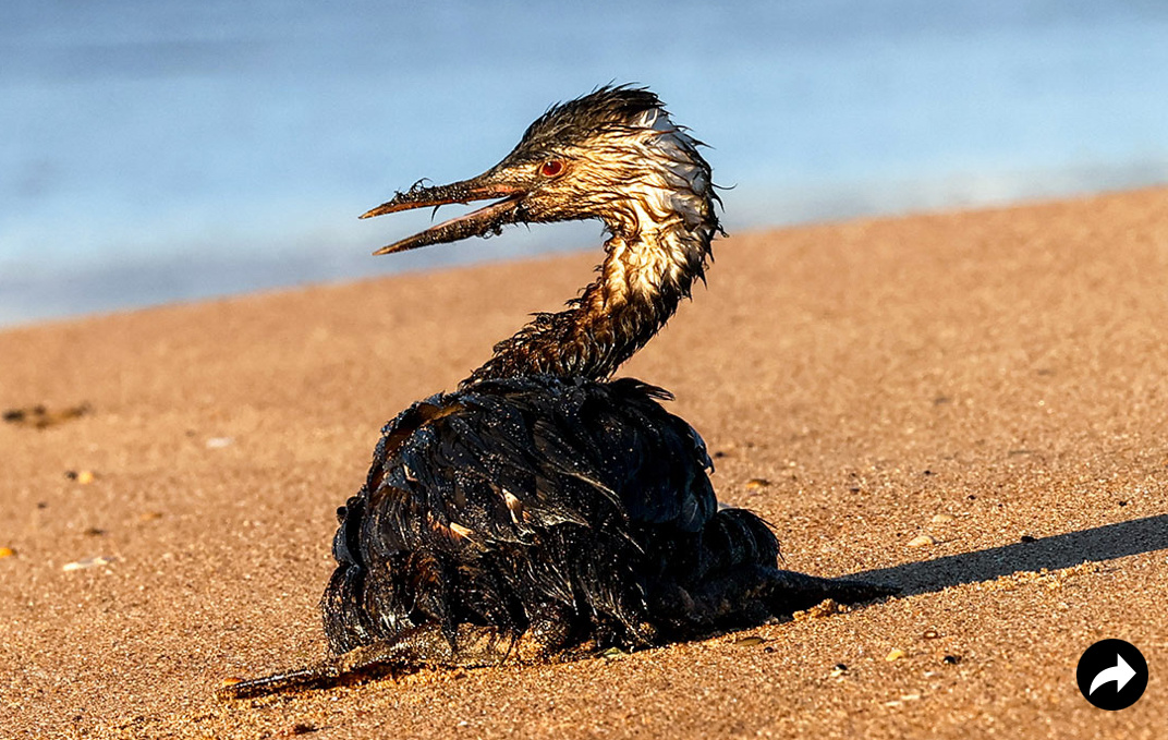 Фото: Сергей Мальгавко/ТАСС