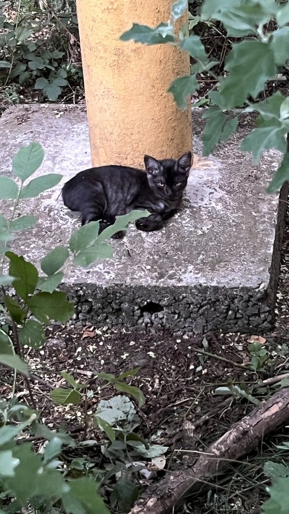    Фото: Царьград