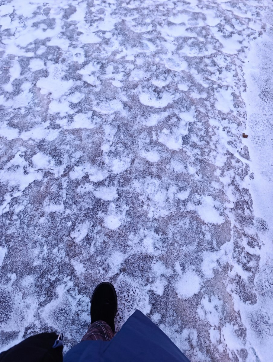 Все фото автора. 