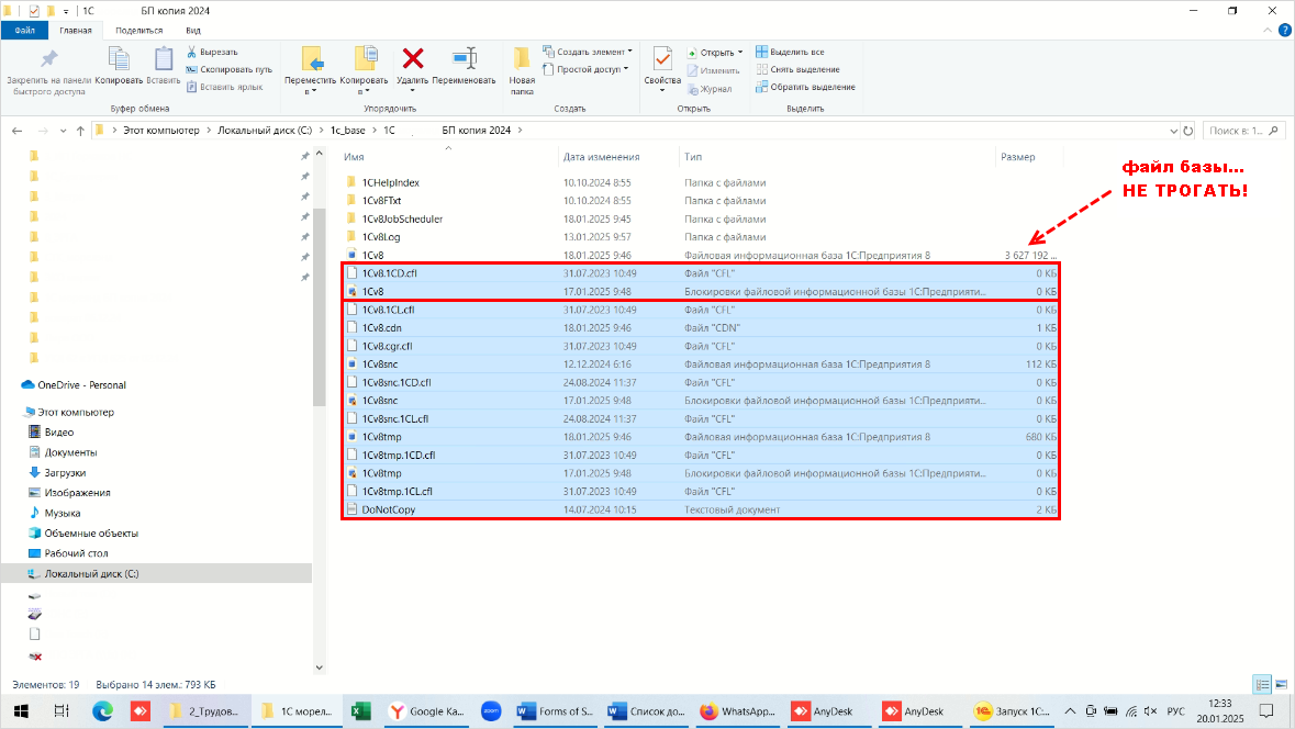 Рис. 2. Файлы в папке 1С.