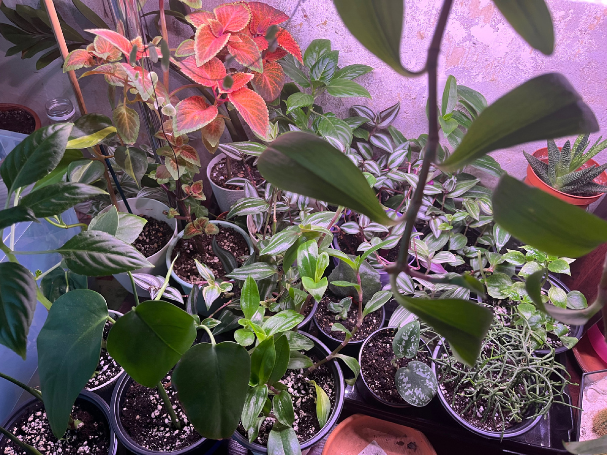 Нижняя полка