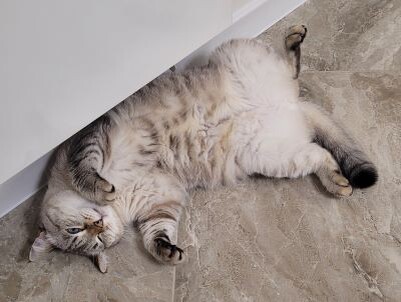 самая теплая батарея в доме