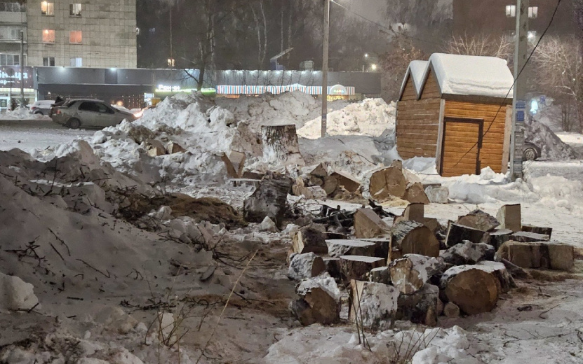  Фото: vk.com/zlou18