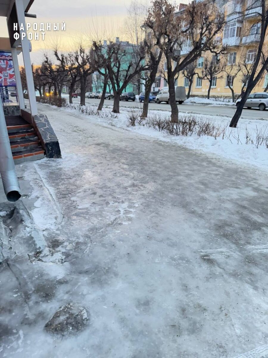 Фото: пресс-служба Народного фронта Челябинской области