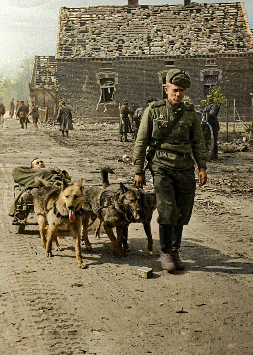 Фотограф: Борис Игнатович