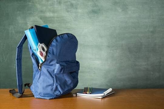    Дети цыган перестают посещать школы в старших классах