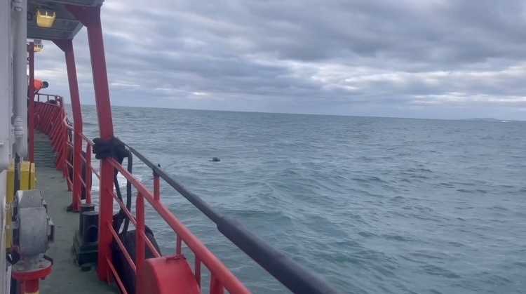    Фото: пресс-служба администрации Краснодарского края