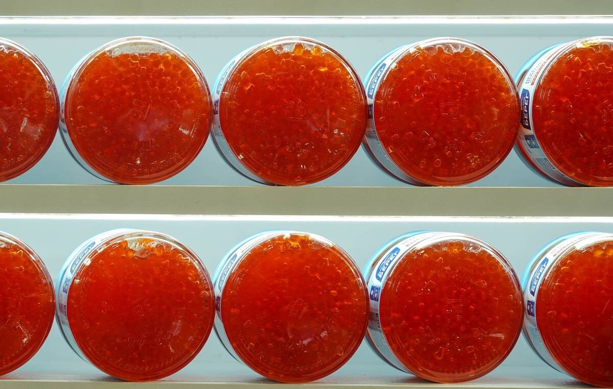    Фото: Александр Авилов / АГН Москва