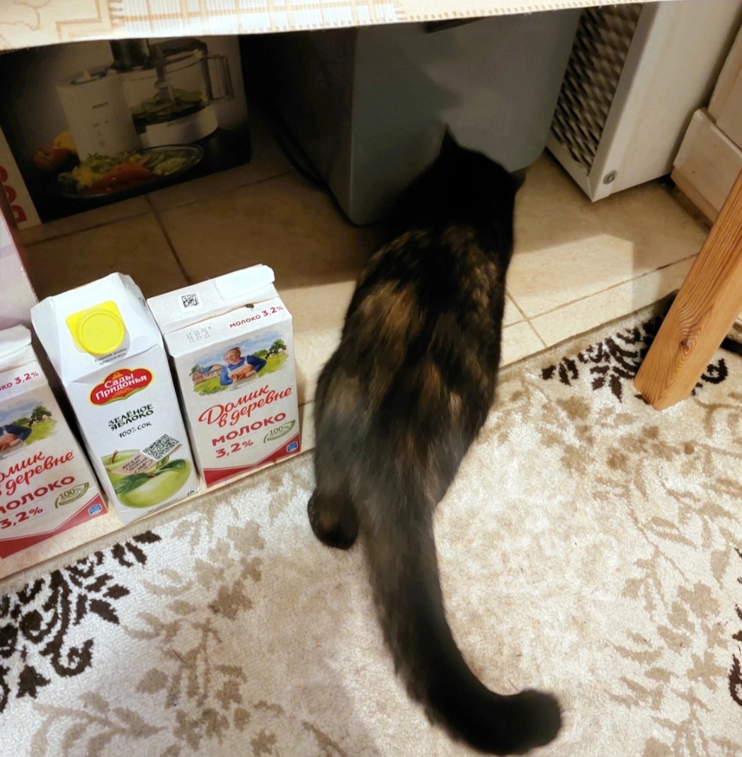 Фото автора.