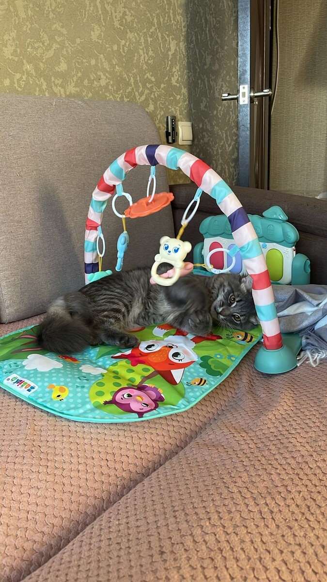 Всё фотографии в статье авторские