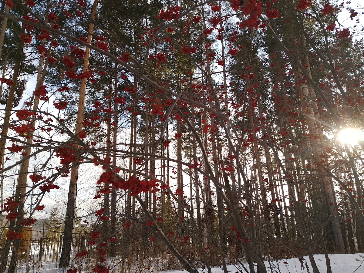 Холодно, но солнечно. 