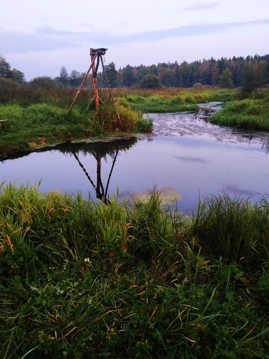 река Бобр на Лугах в Киевце