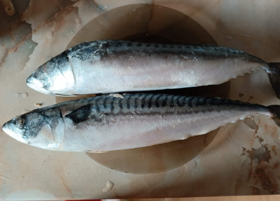 фото автора: скумбрия размораживается