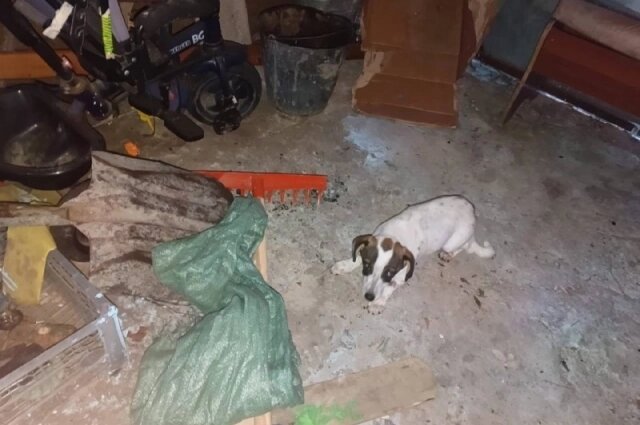    В таком состоянии находится дом, в котором женщина жила с 5 детьми. Фото: Предоставлено героем публикации