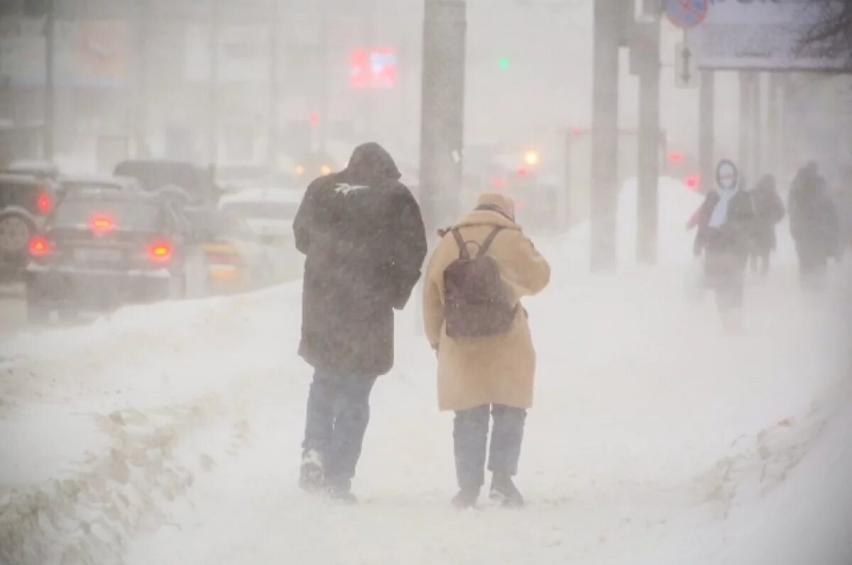    Синоптики объяснили, почему в Новосибирск резко пришла метель со снегом