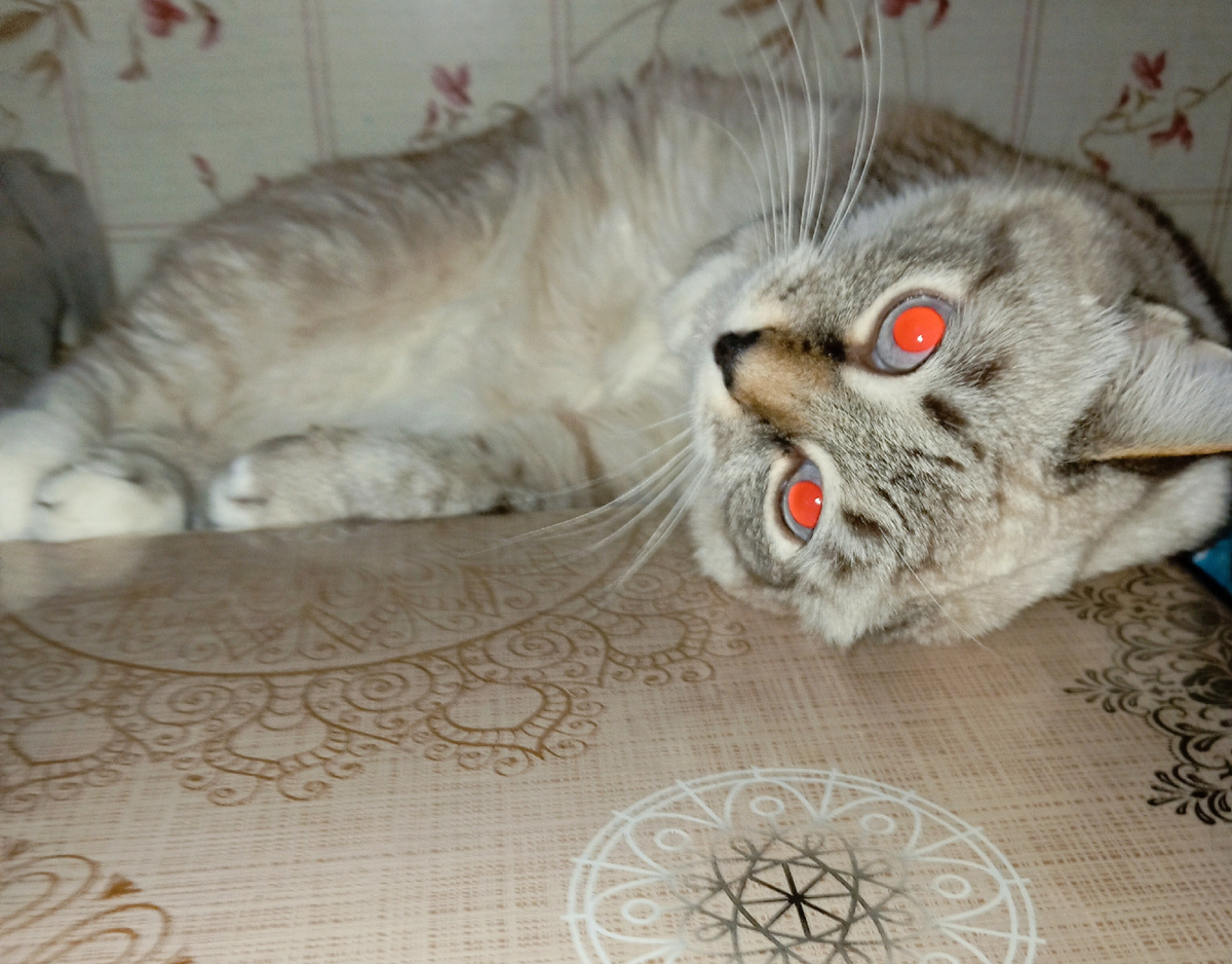 Личное фото автора канала