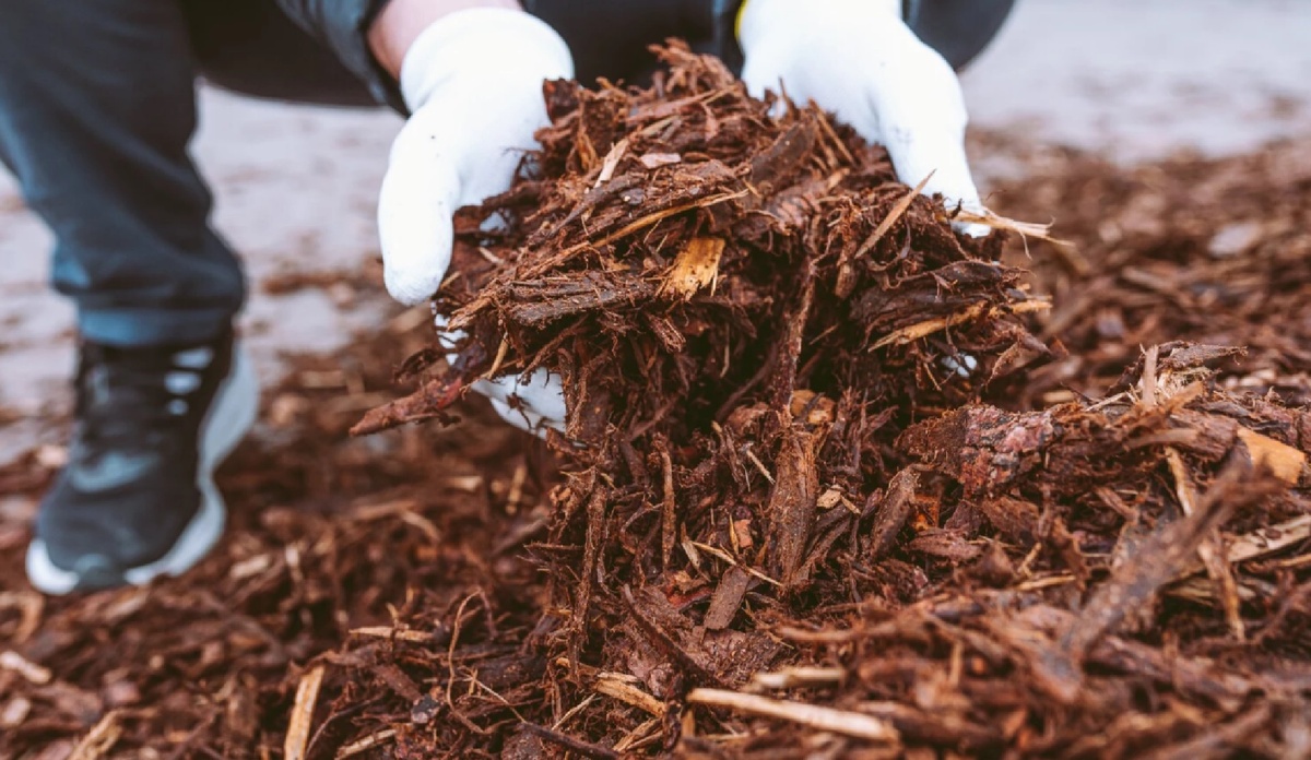 Питательные почвенные составы – не единственный вариант для выращивания рассады