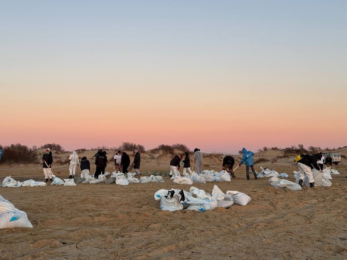    В Югре объявили сбор гумпомощи для волонтеров, работающих над ликвидацией последствий нефтеразлива в Чёрном море
