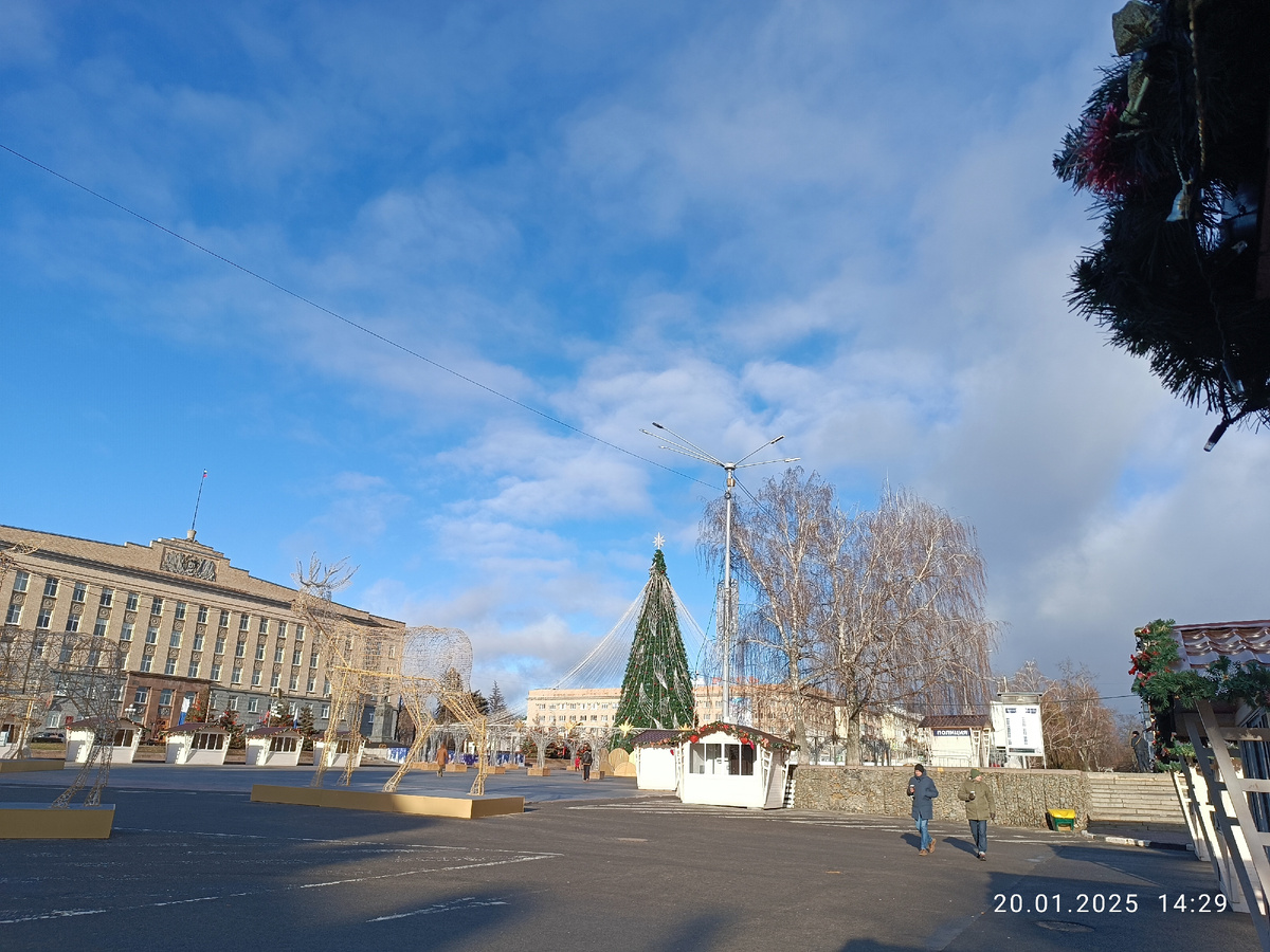 Не похоже на январь, да? Если б не ёлка, подумала б что март-апрель. Такая у нас погода.