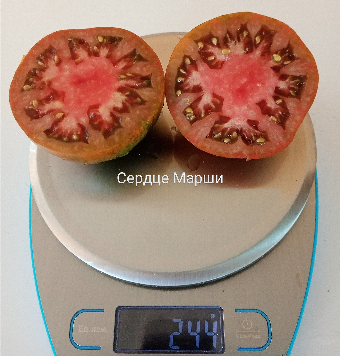 Фото автора. Вид плода сорта Сердце Марши в разрезе.