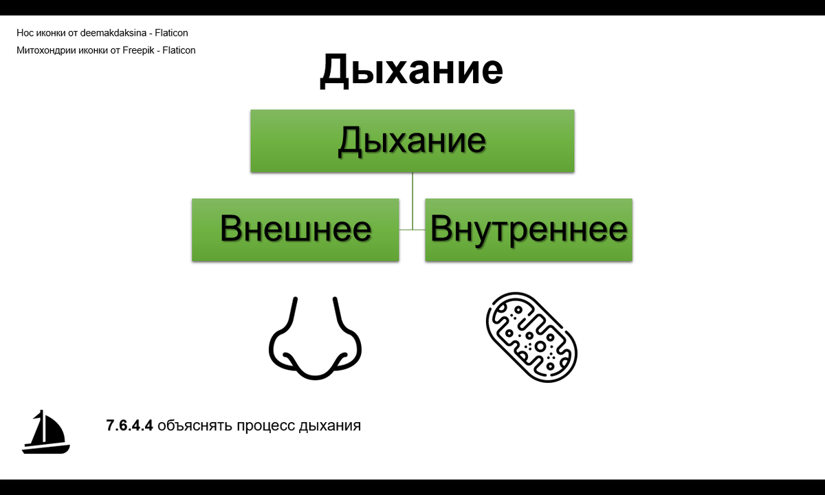 Виды дыхания