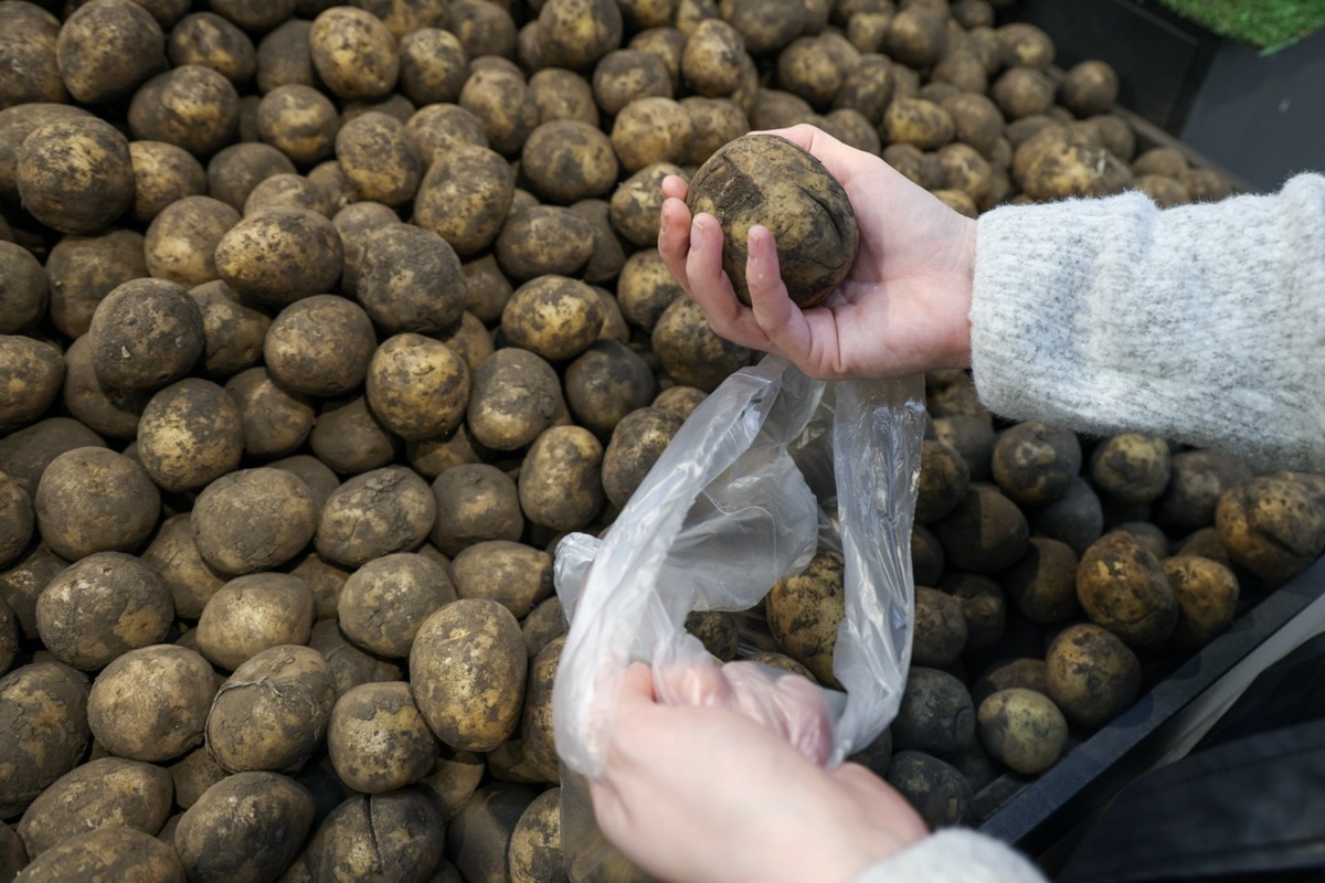 Фото: Эрик Романенко / ТАСС
