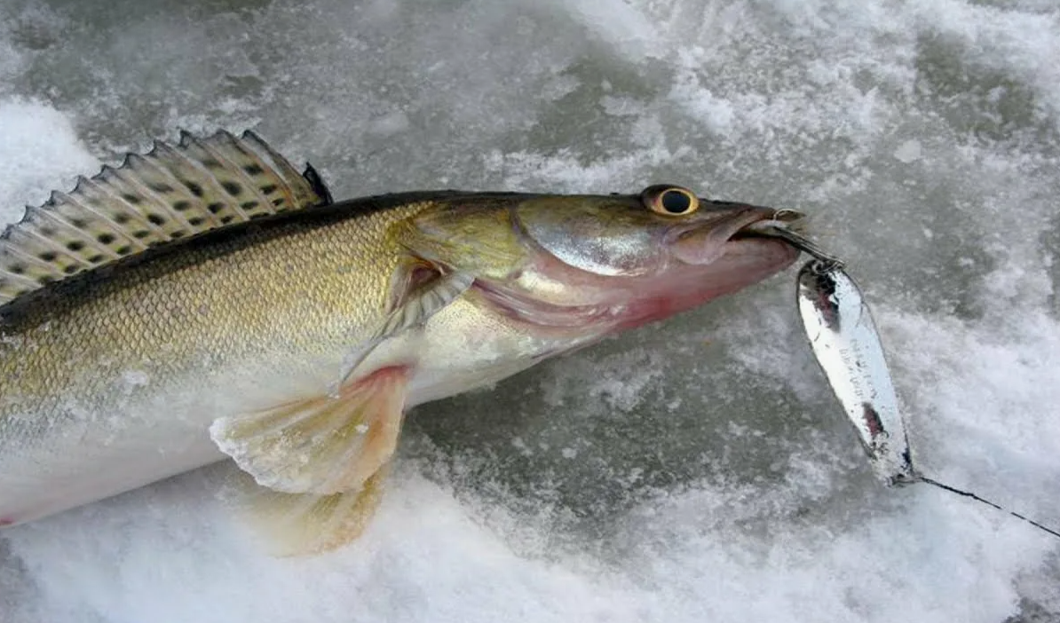 Зимняя блесна