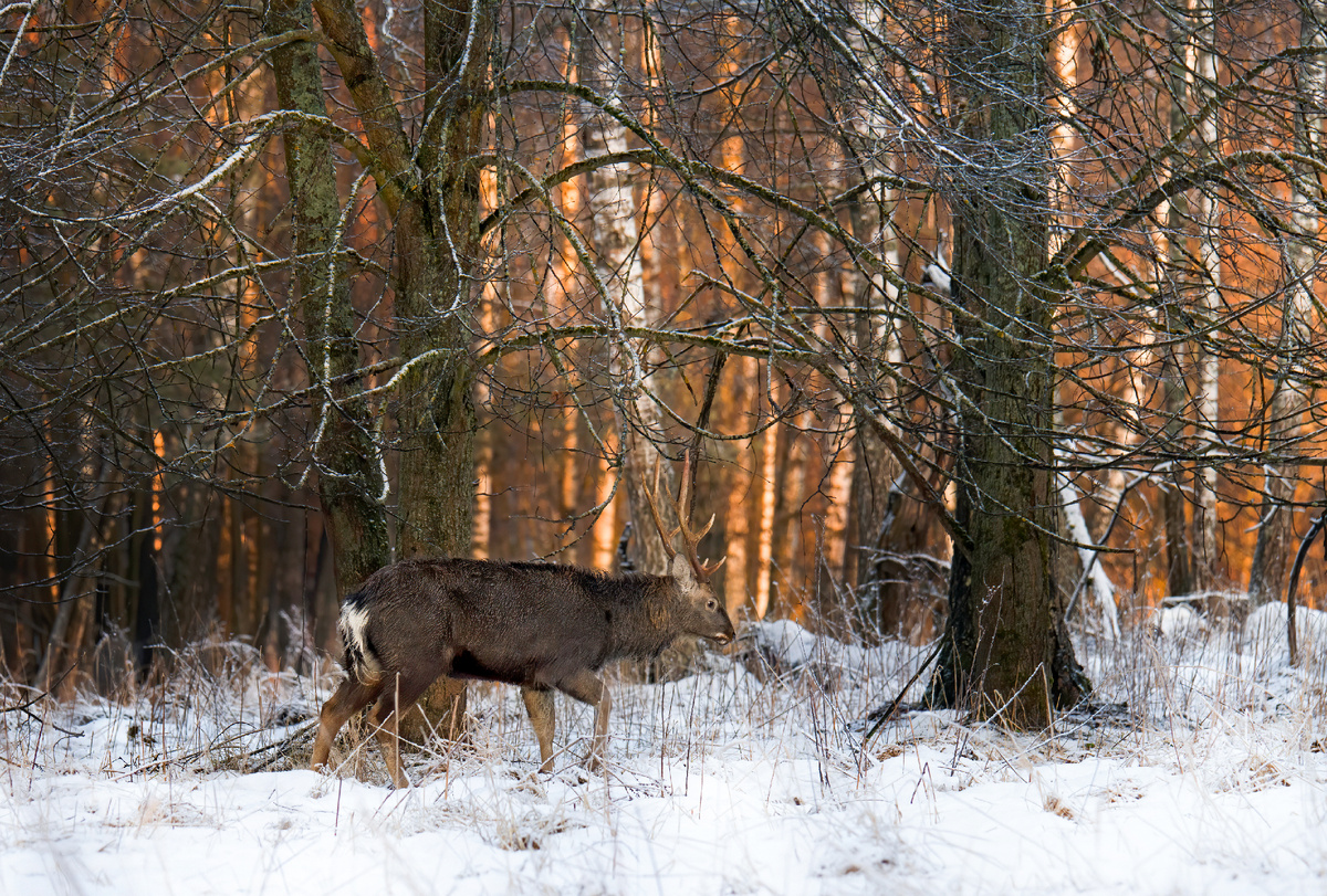 Когда пылают краски рассвета