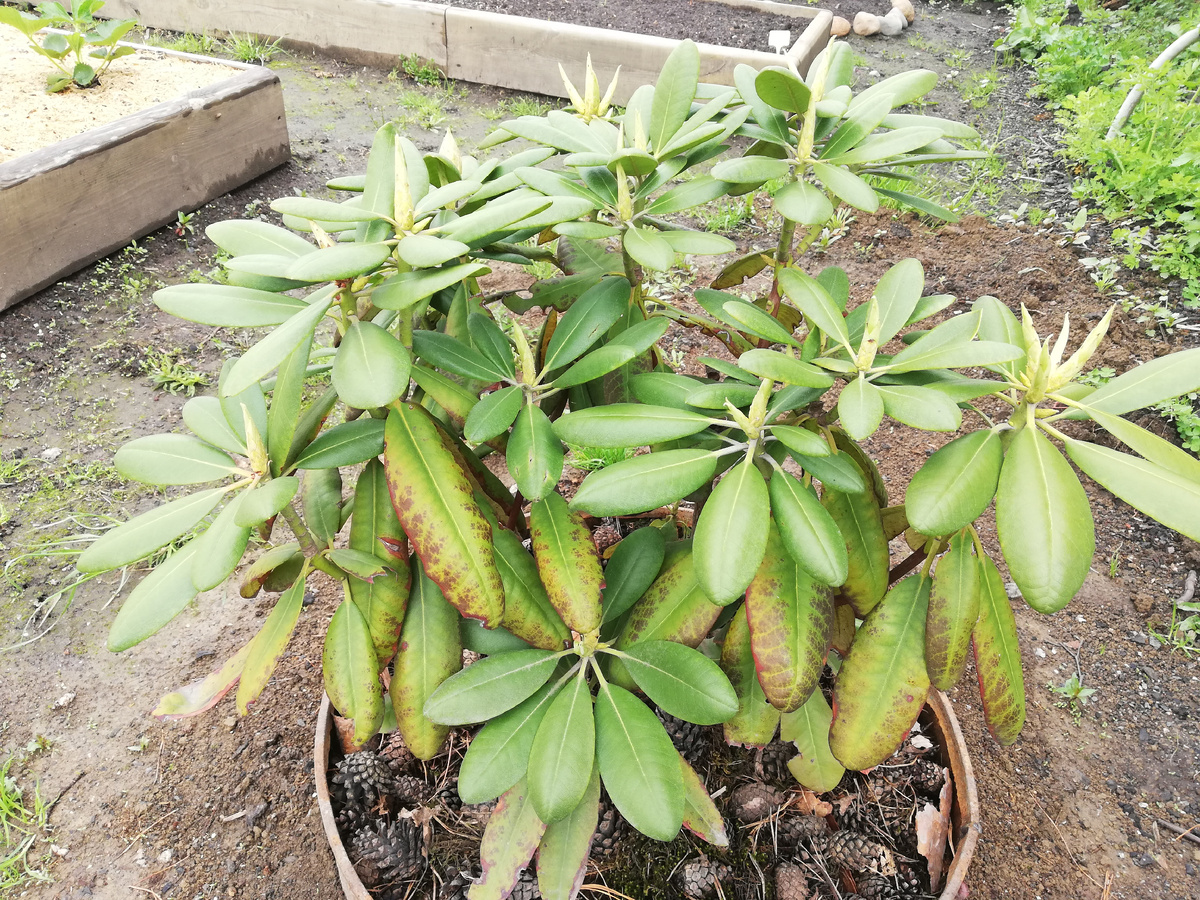 Временное место, дубль два.