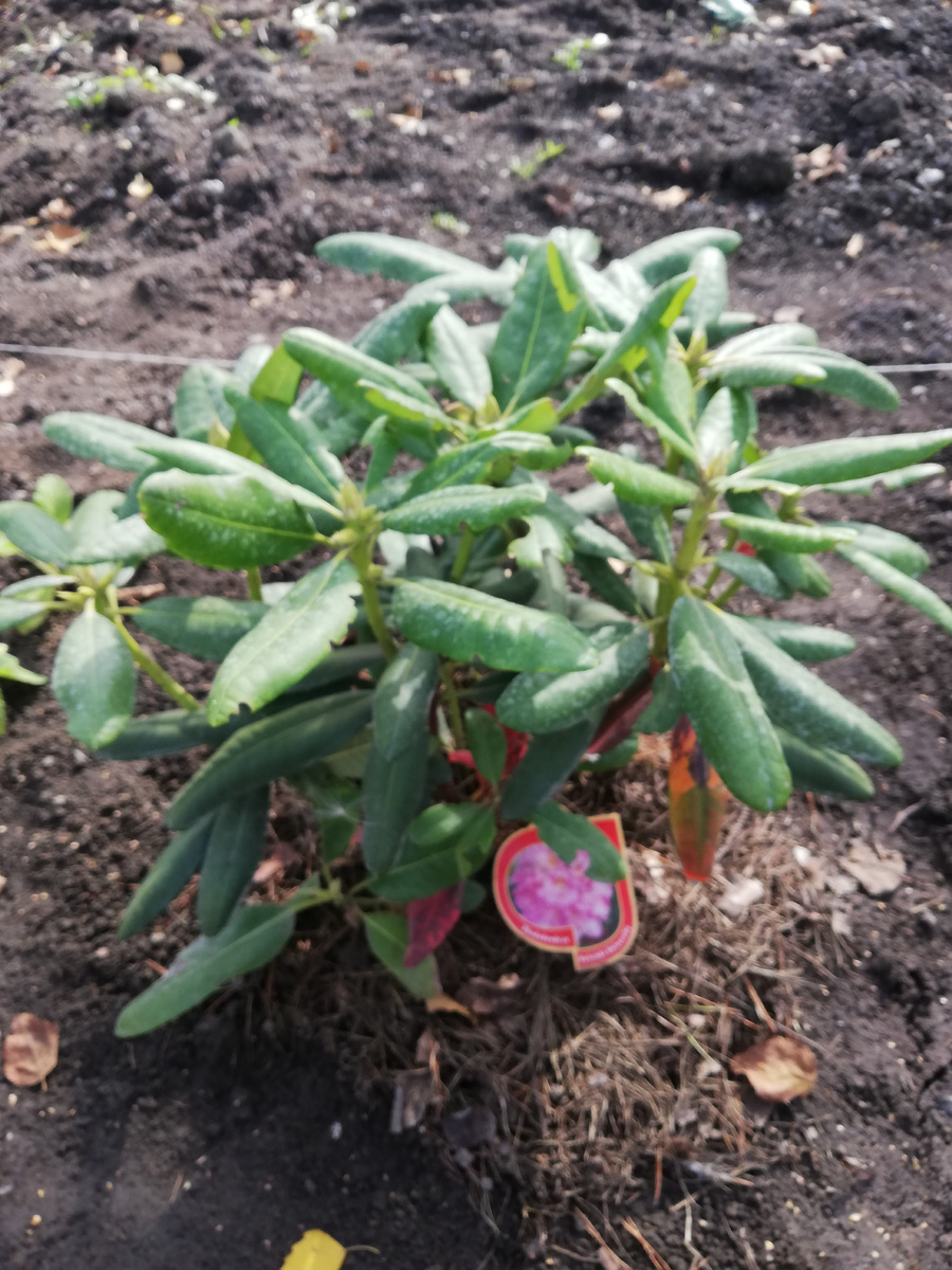 21 сентября 2019 г. 