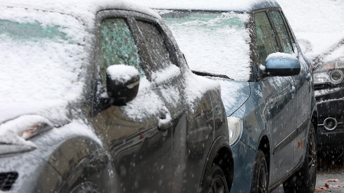    Фото: Bodo Marks/globallookpress.com