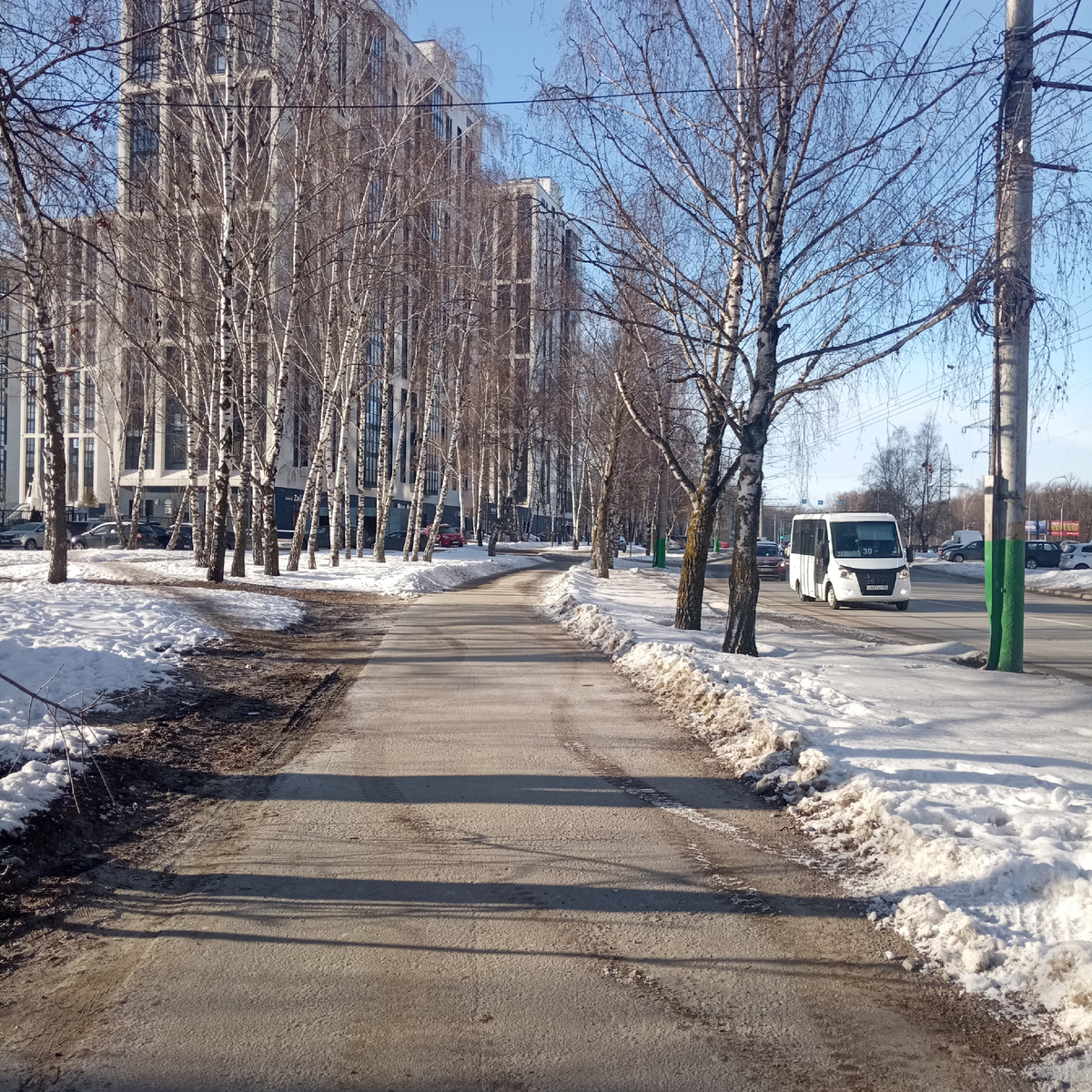 Солнечный морозный день. Хорошо, что земля хоть немного прикрыта снегом