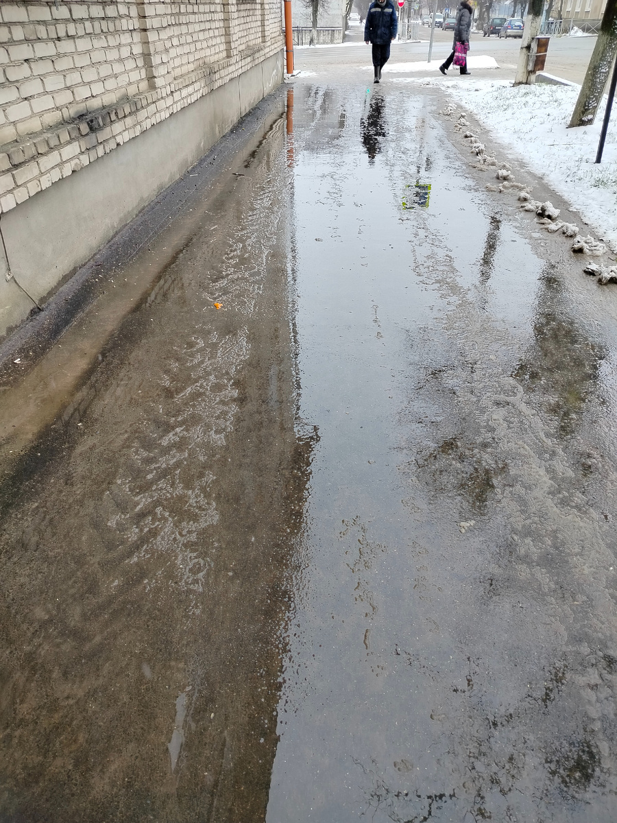 Лужи, грязь... 22 января