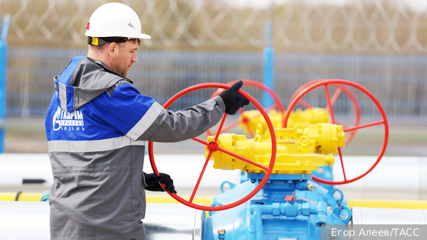     Фото: Егор Алеев/ТАСС   
 Текст: Вера Басилая