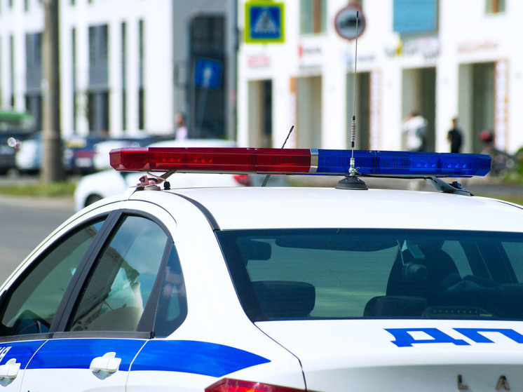     Фото: Дмитрий Куткин ("Вечерний Челябинск")