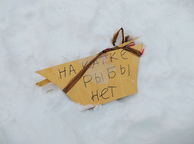 Фото из открытых источников