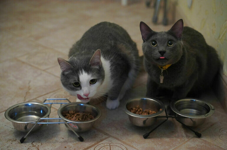   Тимур Ханов/ПГ